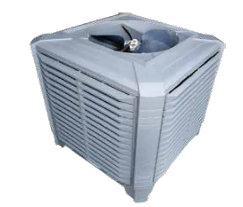 Fresh & Clean Air Circulation